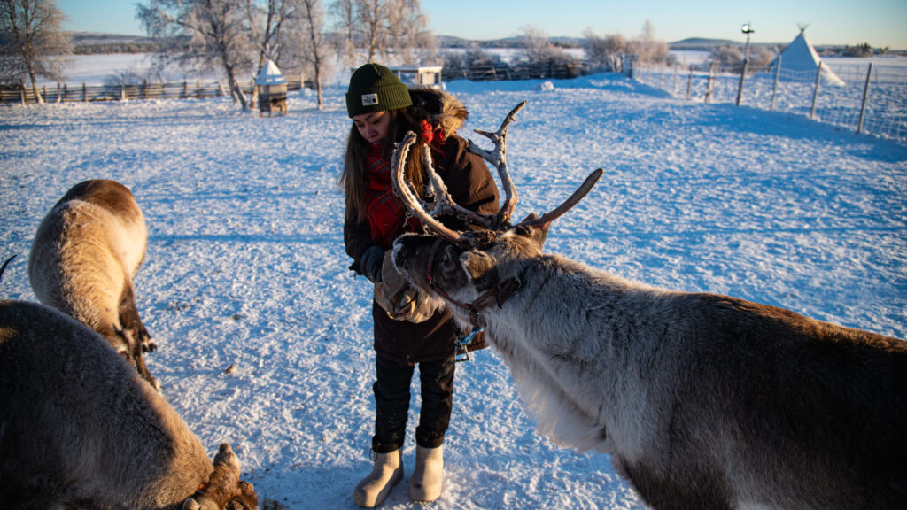 Samiska Rappare Upptäck Nutti Sami Siida – Den samiska kulturen i Kiruna