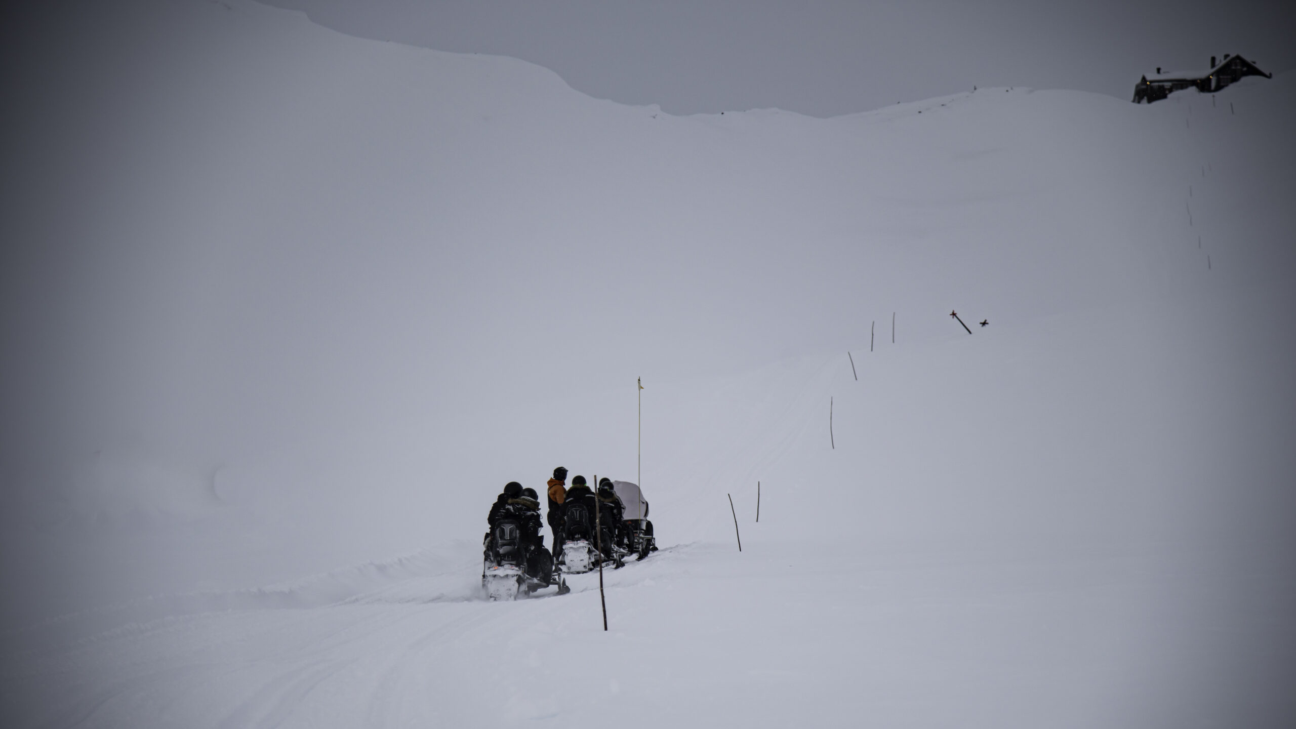 outback abisko laktatjakko lapland resort 18 scaled