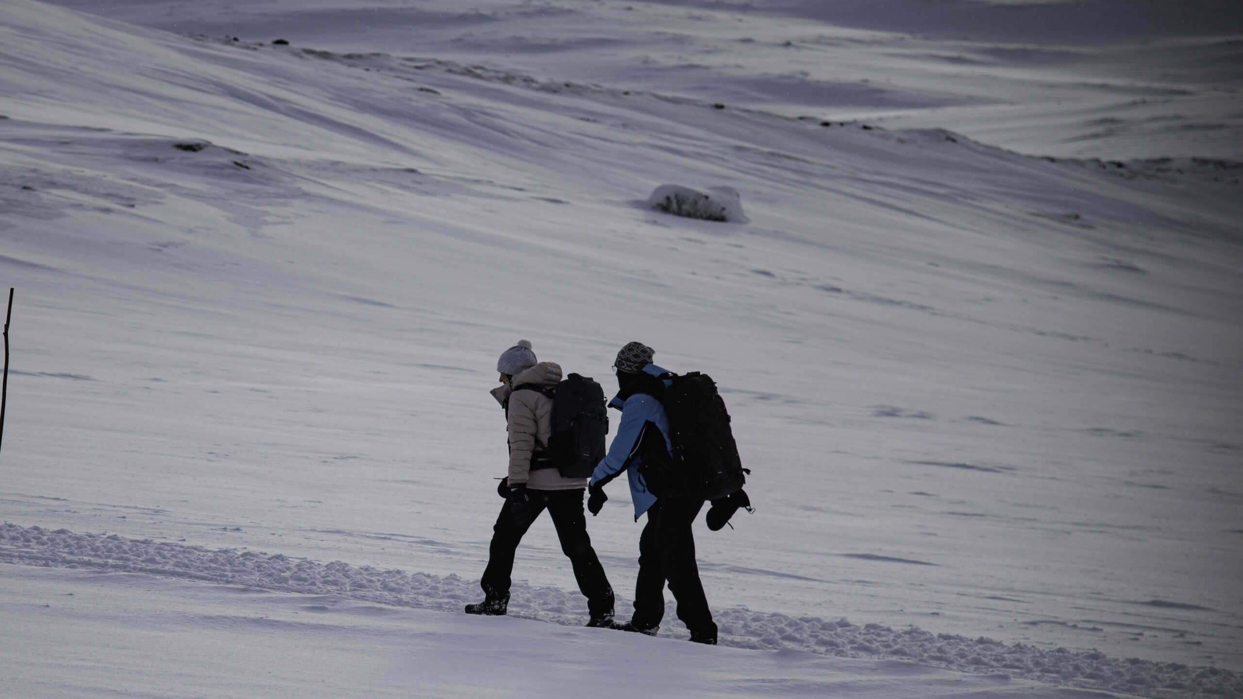 outback abisko laktatjakko lapland resort 21 scaled