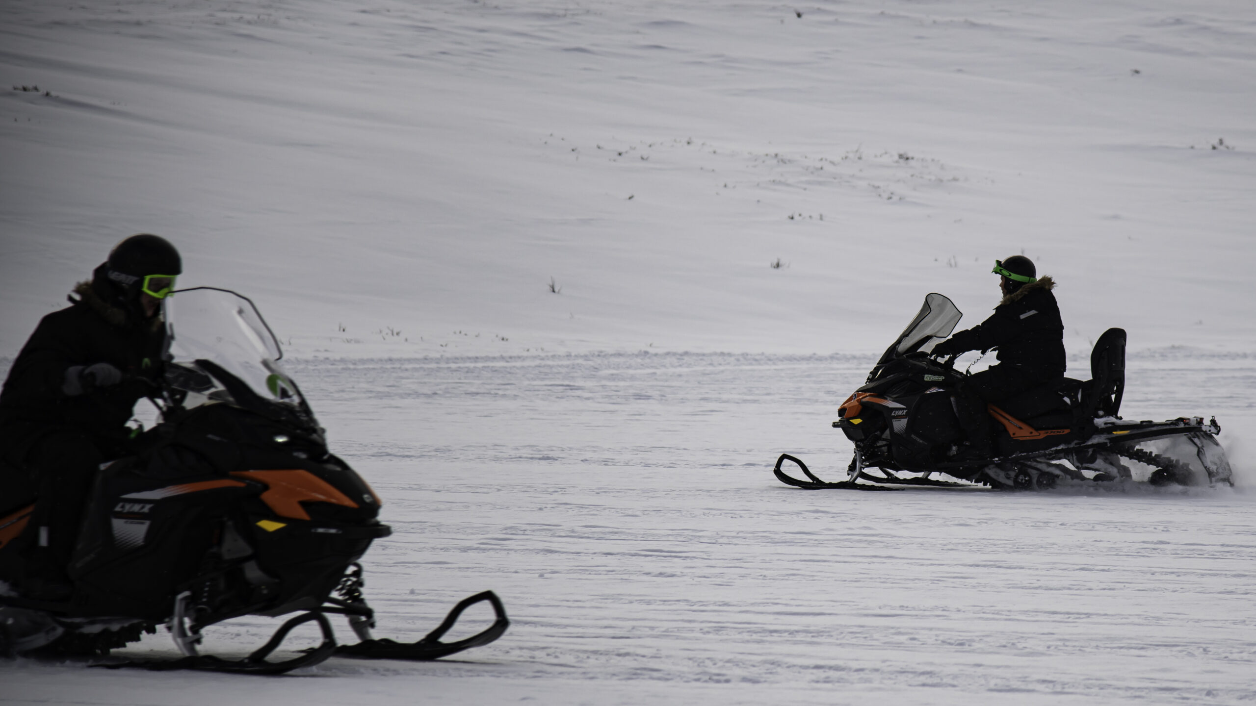 outback abisko laktatjakko lapland resort 22 scaled