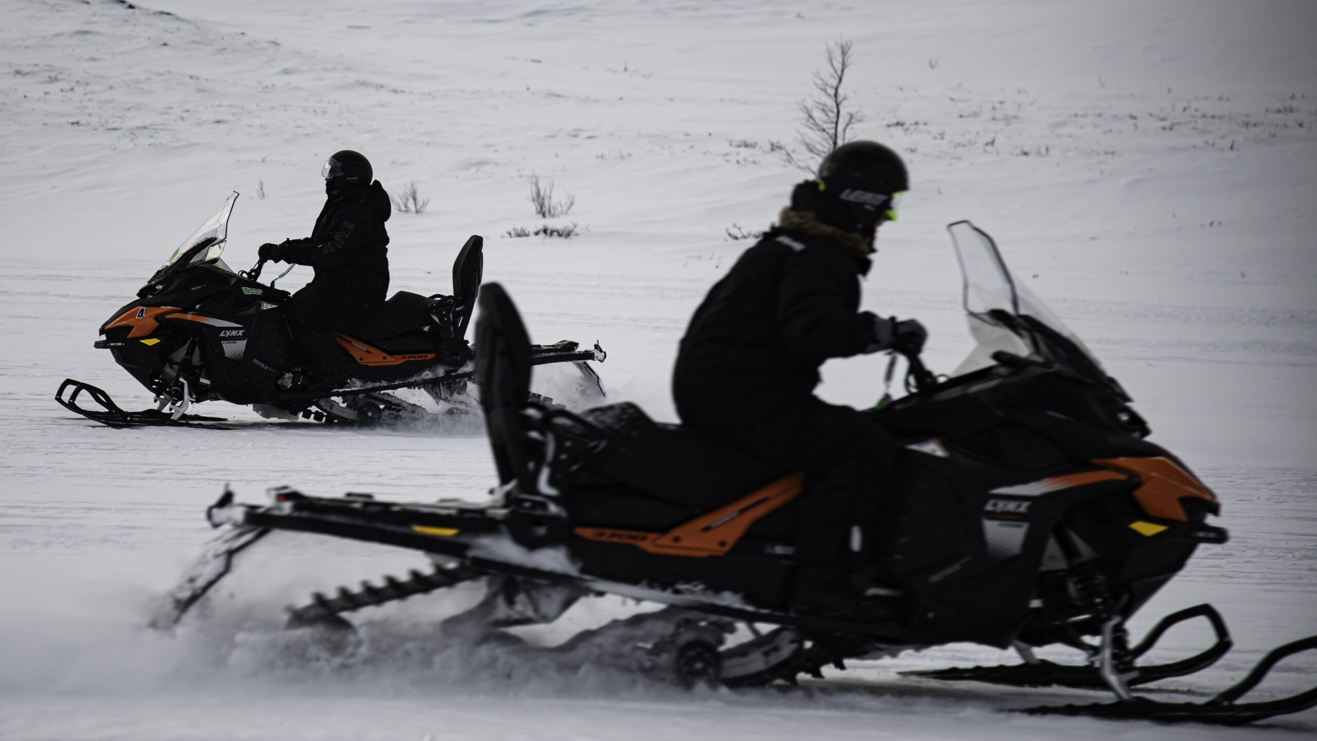 outback abisko laktatjakko lapland resort 23 scaled