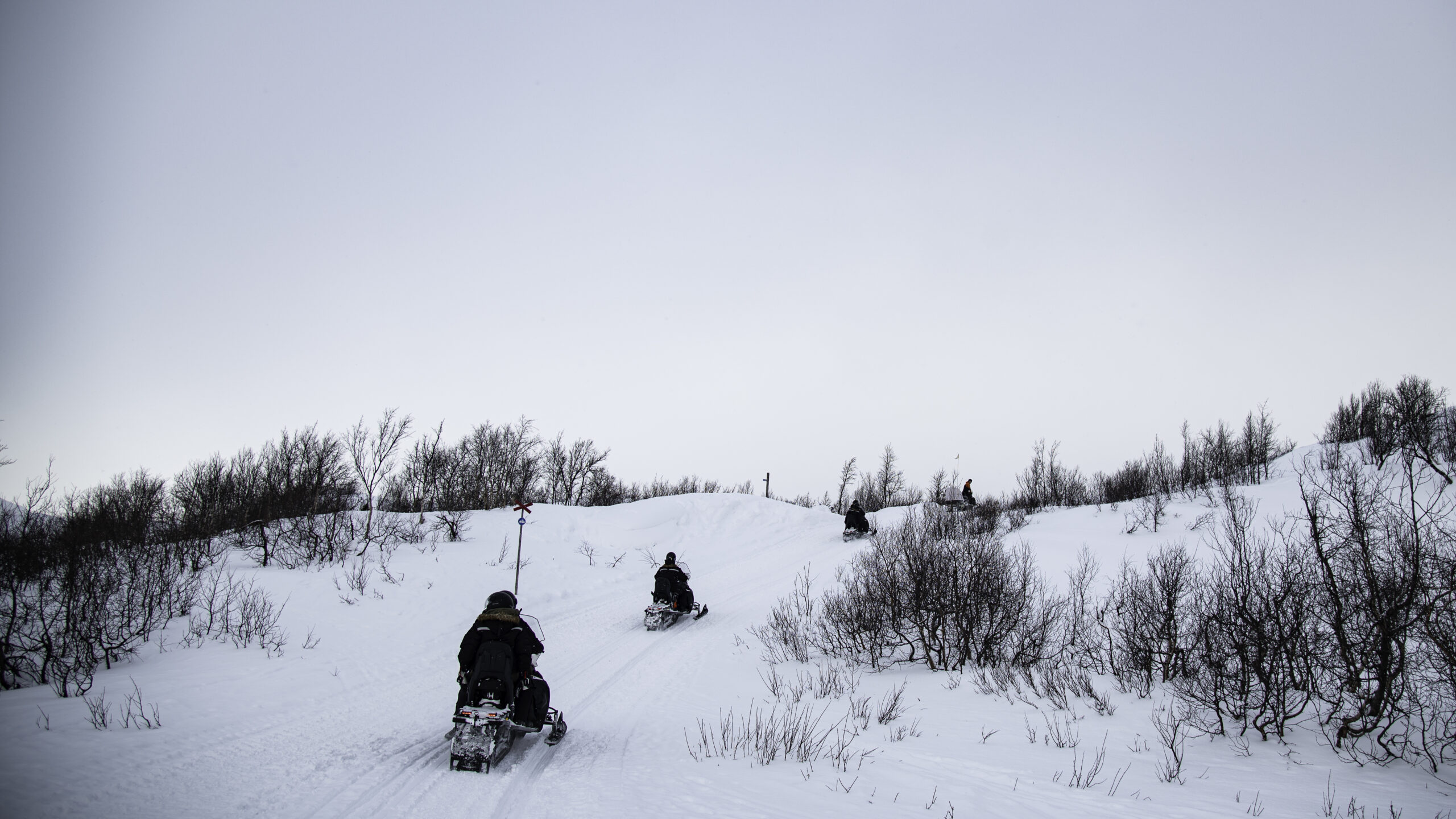 outback abisko laktatjakko lapland resort 6 scaled