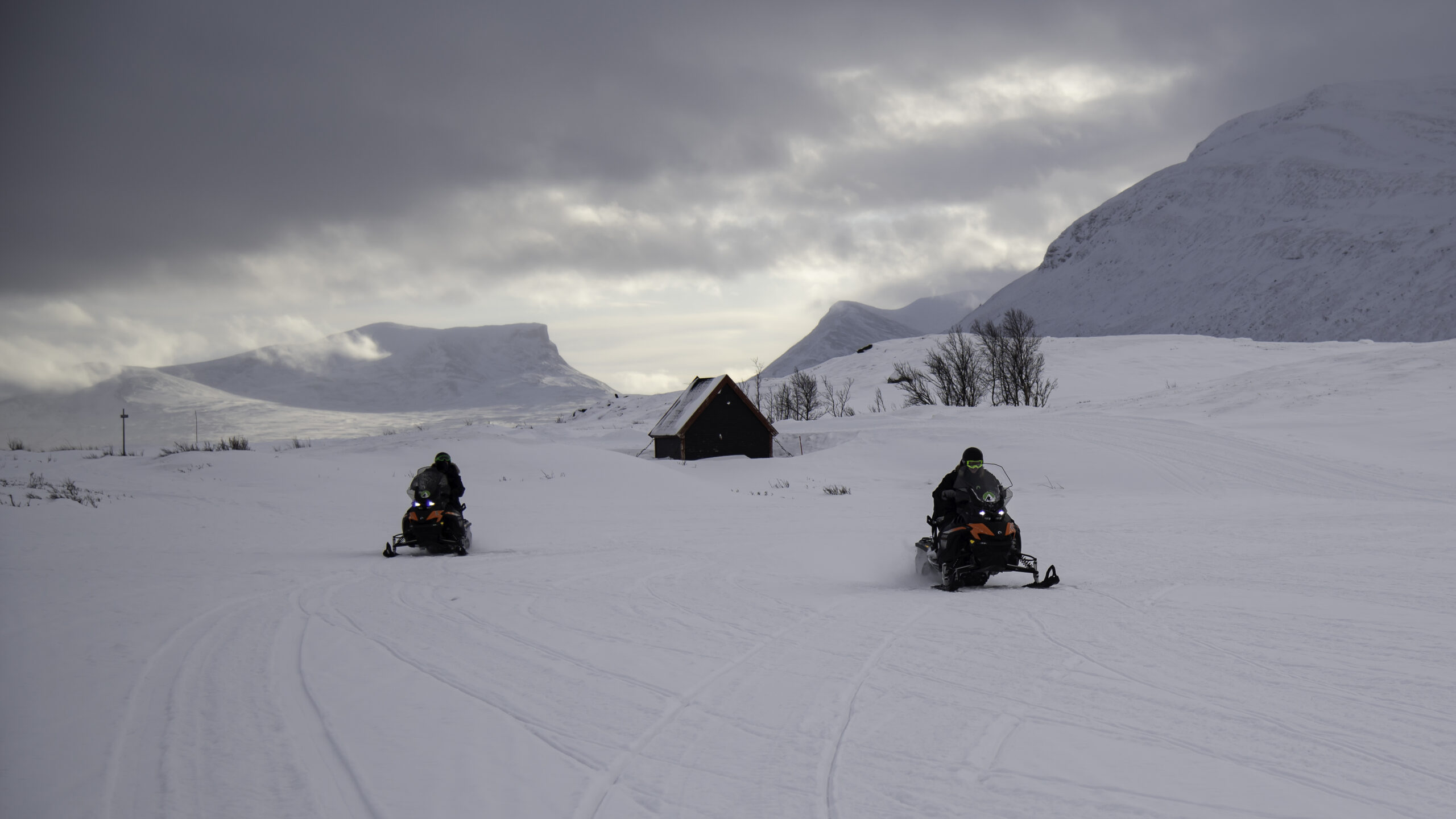 outback abisko laktatjakko lapland resort 9 scaled